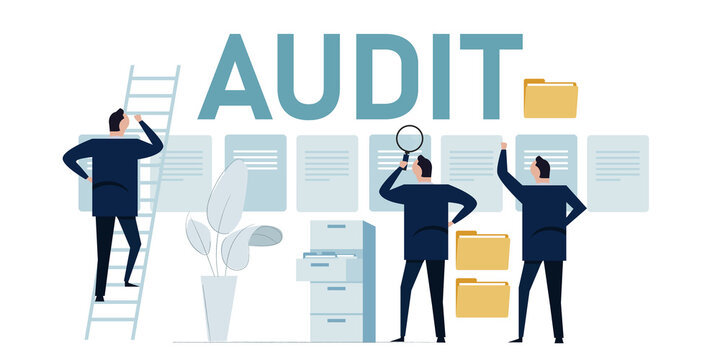 internal audit support